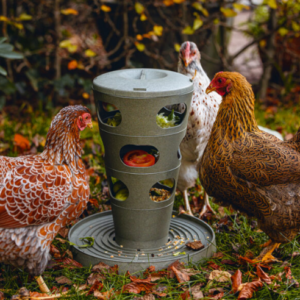 Voedertoren Kippen Paradijshof